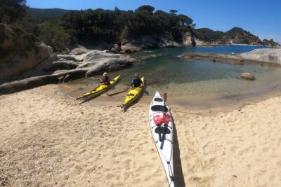 Elba Island Full Day Sea Kayak Tour - Safety, Skills, and a Small Group (Max 8)