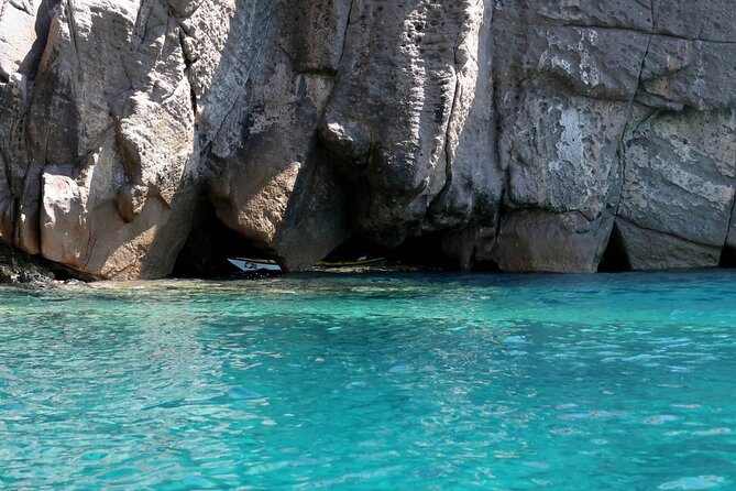 Elba Island Full Day Sea Kayak Tour - What the Guide Teaches: Marine Flora, Fauna, and Geology
