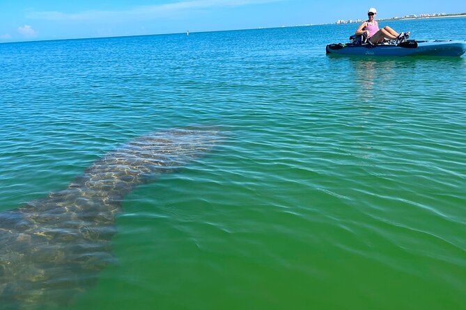 Elite Hobie Kayak Experience: Ultimate Premium Eco Adventure! - Entering Big Hickory Island: Your First Minutes on a Hobie Pedal Kayak