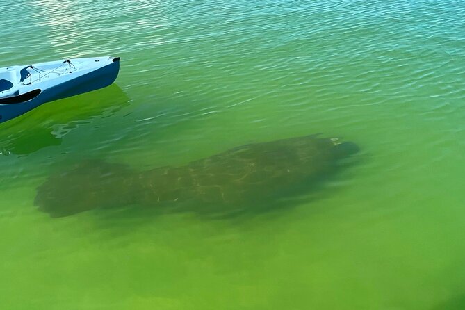 Elite Hobie Kayak Experience: Ultimate Premium Eco Adventure! - Sunset From the Water, Then the After-Dark Kayak Lights