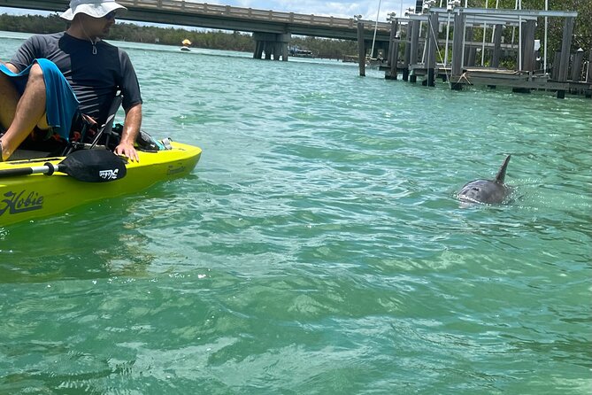 Elite Hobie Kayak Experience: Ultimate Premium Eco Adventure! - Price and Value: Is $110 Worth It for a 4-Hour Premium Kayak Ride?