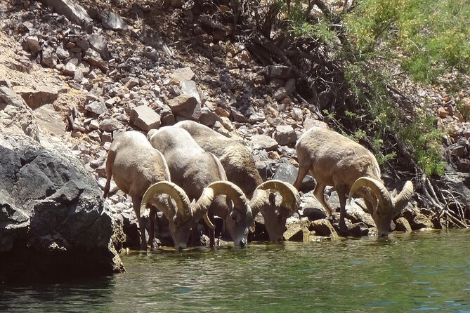 Emerald Cave & Black Canyon Kayak Tour with Vegas Pickup - Guides and the small-group advantage: why the day feels personal