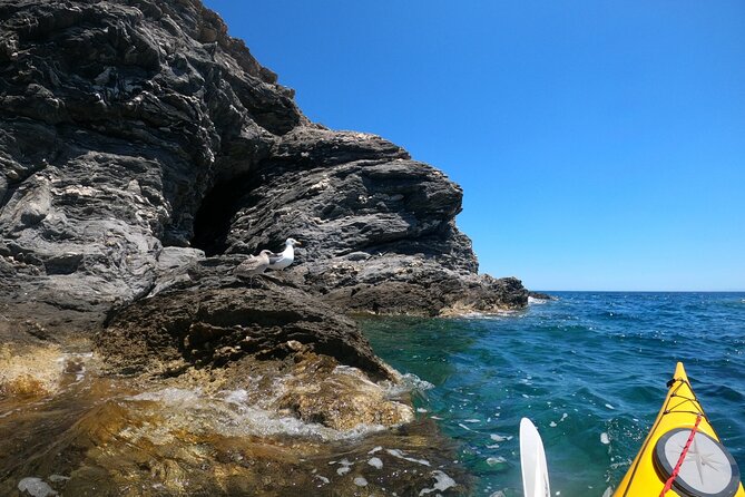 Enchanting Semi Private Kayaking Tours in Milos - Double kayaks with rudder: why that gear helps you enjoy more