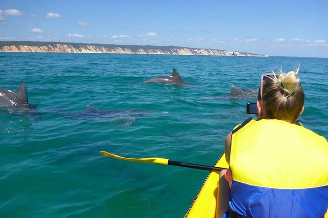 Epic Kayak With Dolphins & Wildlife - 4WD Beach Adventure Noosa - Key things that make this tour special