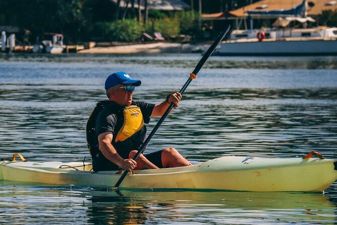 Epic Kayak With Dolphins & Wildlife - 4WD Beach Adventure Noosa - Wildlife spotting: dolphins, whales, turtles, rays, and the reality of nature