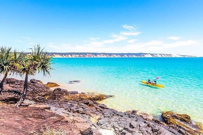 Epic Kayak With Dolphins & Wildlife - 4WD Beach Adventure Noosa - Guides on board: you might meet Tyron, Vince, Cam, Nick, or Kishan