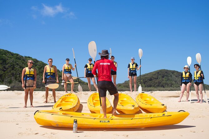 Epic Kayak With Dolphins & Wildlife - 4WD Beach Adventure Noosa - Price and value: why $115.48 can make sense for this mix of 4WD and kayaking