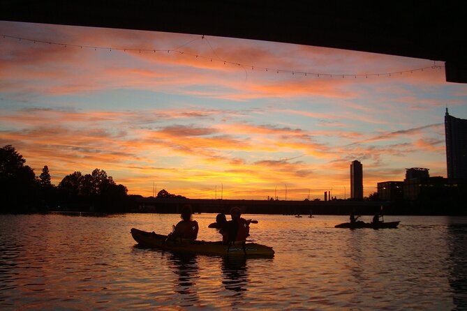 Evening Bat Watching Kayak Tour - The Skyline Bonus on the Return Paddle