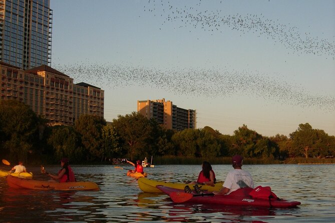 Evening Bat Watching Kayak Tour - Guides Make the Difference: John, Dave, and the Wayfinding