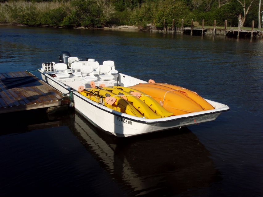 Everglades: Boat Assisted Kayak Eco Tour - Key Highlights You’ll Actually Feel