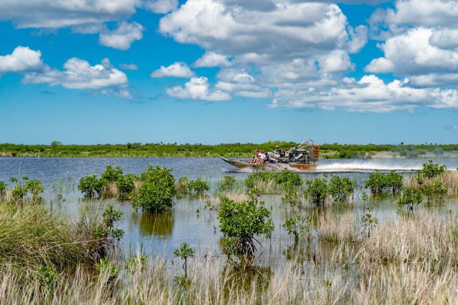 Everglades City: Guided Kayaking Tour and Airboat Ride - Value for money: why the combo works at $149