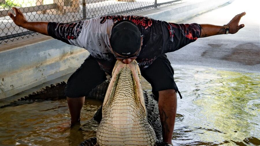 Everglades City: Guided Kayaking Tour and Airboat Ride - What to know before you go: rules and comfort checks