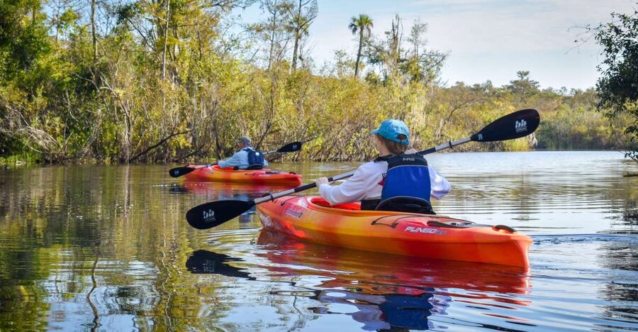 Everglades City: Guided Kayaking Tour of the Wetlands - Key Highlights You’ll Actually Care About