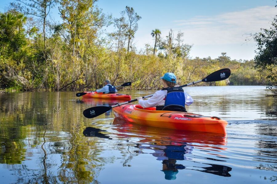 Everglades City: Guided Kayaking Tour of the Wetlands - Gear, Orientation, and Safety: You Don’t Need to Be a Pro