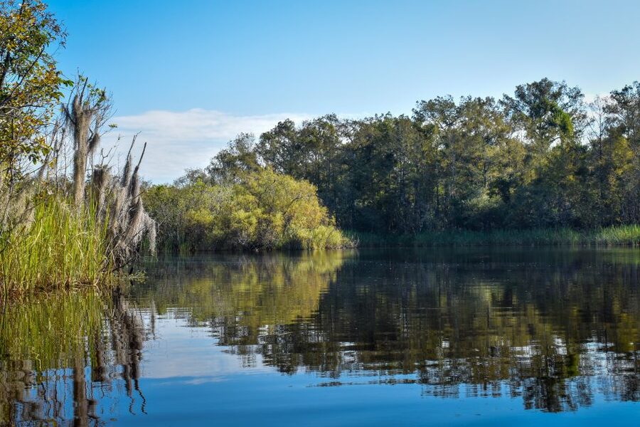Everglades City: Guided Kayaking Tour of the Wetlands - The Paddling Route: Mangrove Tunnels, Cypress Areas, and Secret Stops