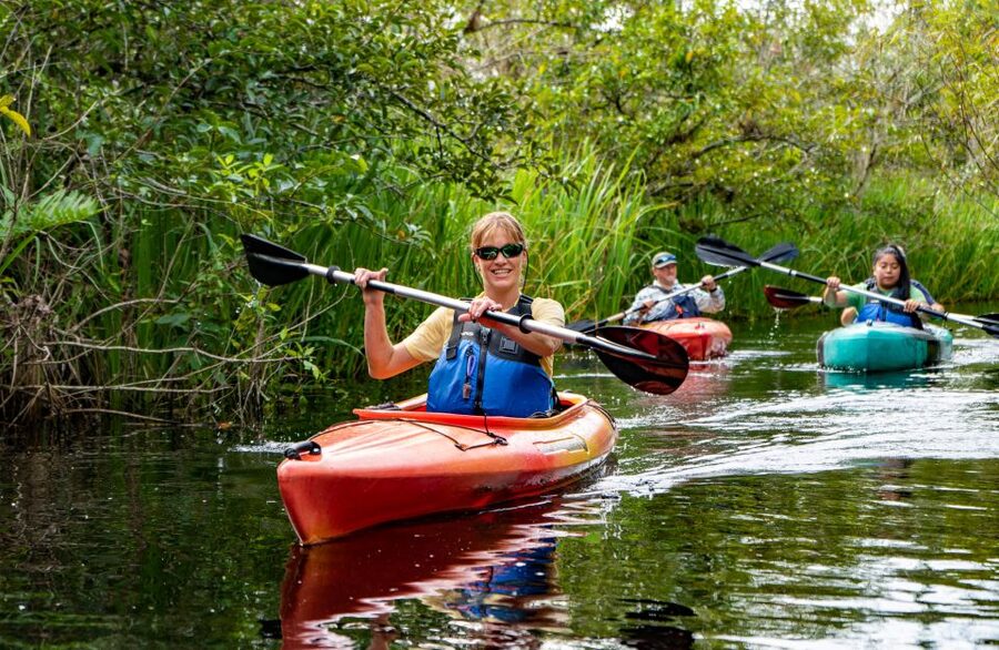Everglades City: Guided Kayaking Tour of the Wetlands - Mosquito Reality: When to Go and What to Wear