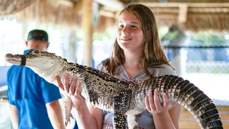 Everglades City: Guided Kayaking Tour with and Airboat Ride - Price and value: what you’re paying for at $150