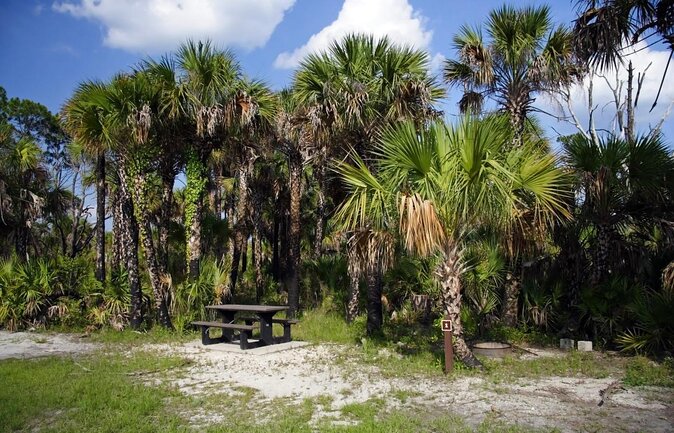 Everglades Guided Kayak Tour - Key Highlights You’ll Care About