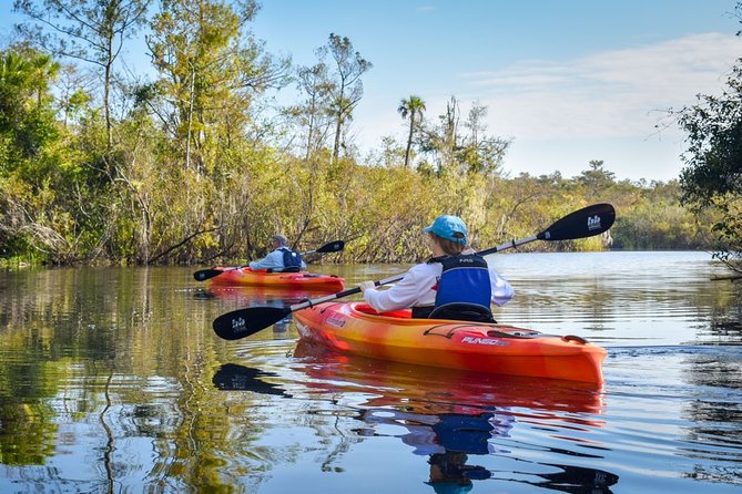 Everglades Guided Kayak Tour - Big Cypress Stop: What You’ll See in the Real World