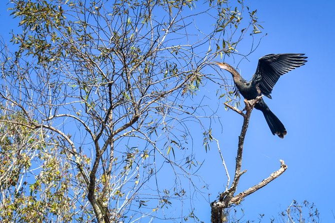 Everglades Guided Kayak Tour - What to Bring: Bugs, Clothing, and Staying Comfortable