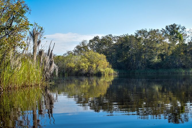 Everglades Guided Kayak Tour - Group Size (Up to 11) and the Social Side of Paddling