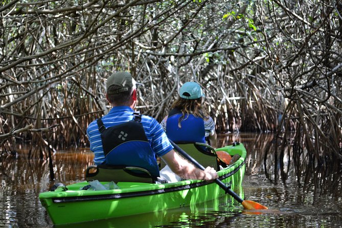 Everglades Kayak Safari Adventure Through Mangrove Tunnels - Why Kayaking the Everglades Mangrove Tunnels Feels Different