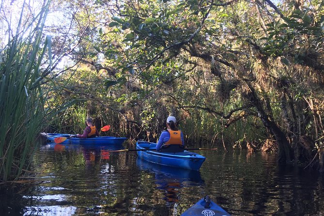 Everglades Kayak Safari Adventure Through Mangrove Tunnels - Guides and Small Groups: What You Actually Get in Practice