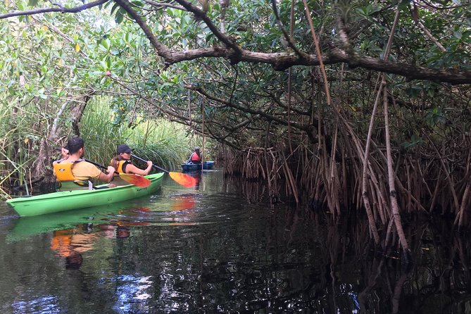 Everglades Kayak Safari Adventure Through Mangrove Tunnels - Gear That Makes or Breaks a Kayak Trip