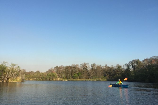 Everglades Kayak Safari Adventure Through Mangrove Tunnels - Timing and Water Conditions: Morning vs Afternoon and Shallow-Tunnel Days