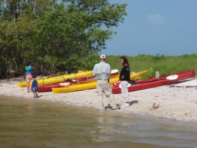 Everglades National Park: Boat Assisted Kayak Eco Tour - The Guide Factor: Licensed Naturalist Teaching You to Look