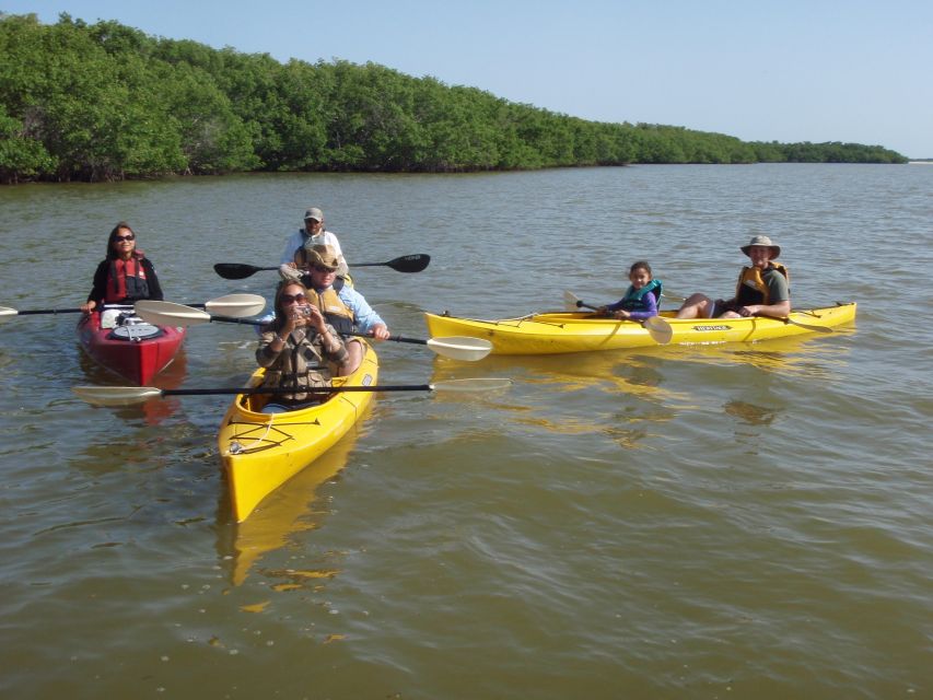 Everglades National Park: Boat Assisted Kayak Eco Tour - Wildlife Odds: Dolphins, Manatees, Sea Turtles, and Wetland Birds
