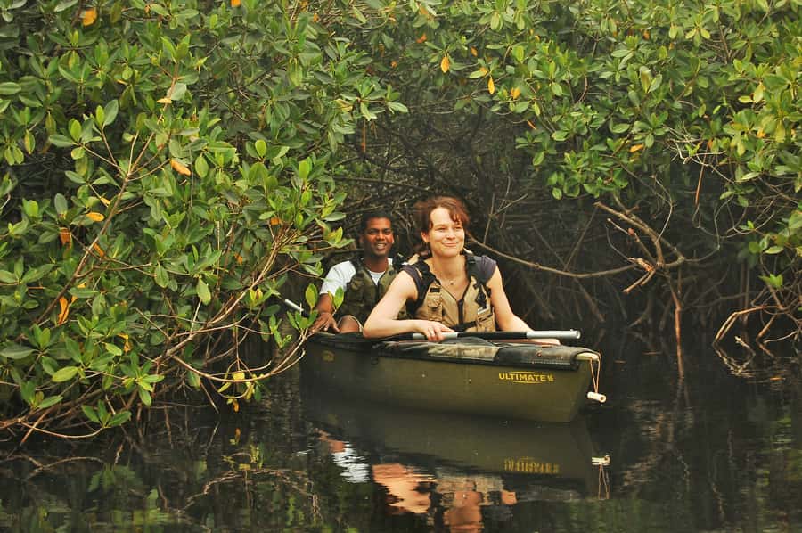 Everglades National Park: Mangrove Tunnel Kayak Eco-Tour - Key takeaways before you paddle
