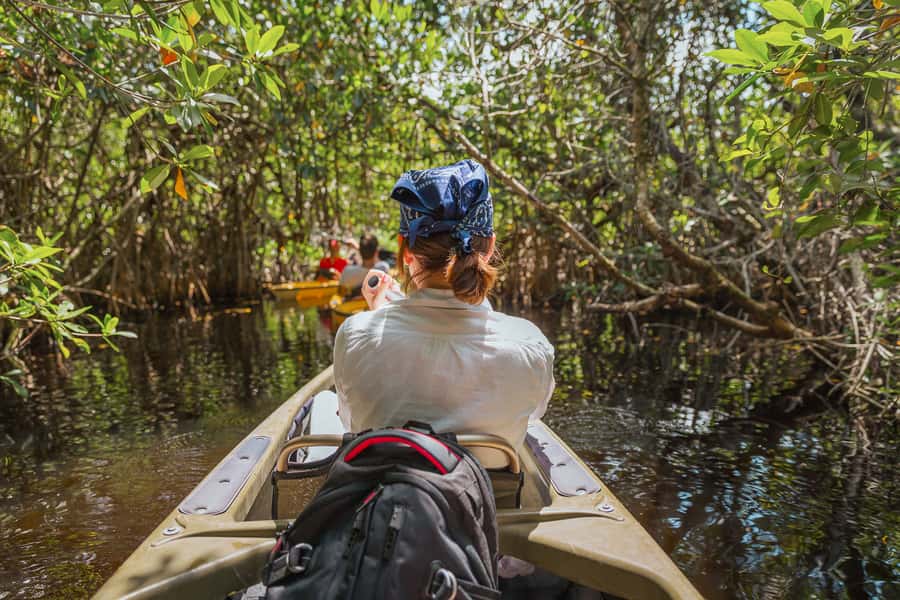 Everglades National Park: Mangrove Tunnel Kayak Eco-Tour - Where You Start: 32016 Tamiami Trail E and the gold truck