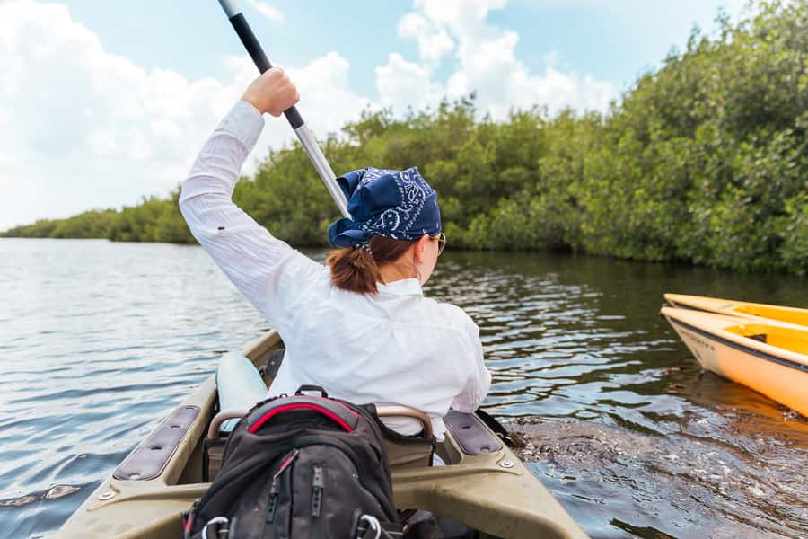Everglades National Park: Mangrove Tunnel Kayak Eco-Tour - The 3-hour flow: what happens once you’re on the water