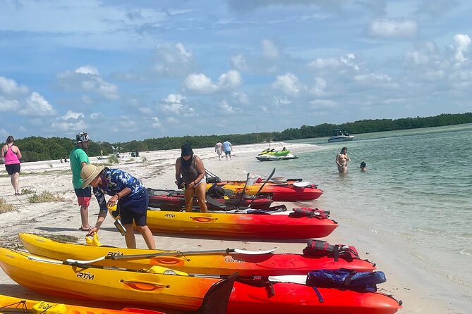 Exclusive Kayak Expedition: Exploring the Mangroves to Shell Key - The Paddling Rhythm: St. Pete Beach to the Waterway Network