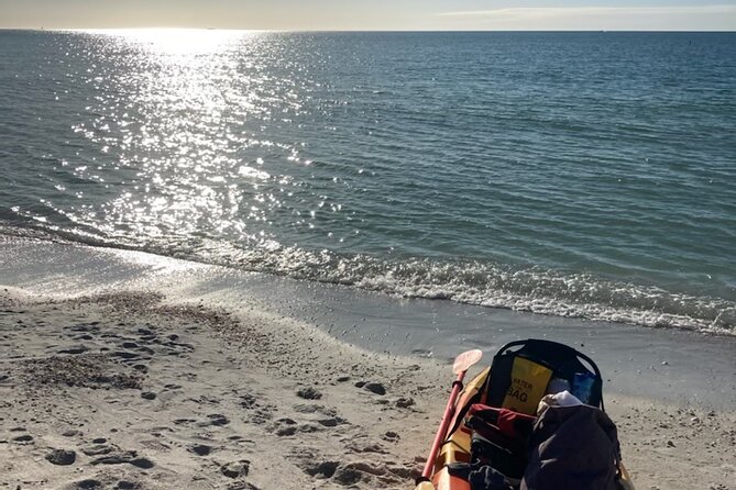 Exclusive Kayak Expedition: Exploring the Mangroves to Shell Key - Mangrove Tunnels: The Part That Feels Like You Found a Secret