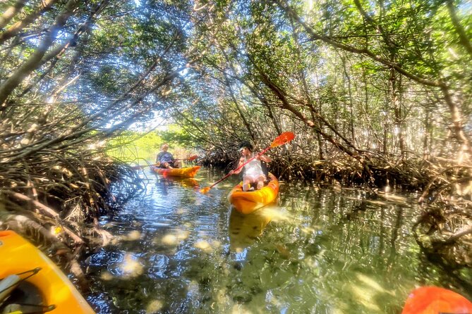 Exclusive Kayak Expedition: Exploring the Mangroves to Shell Key - Pickup Options and Where You Actually Start