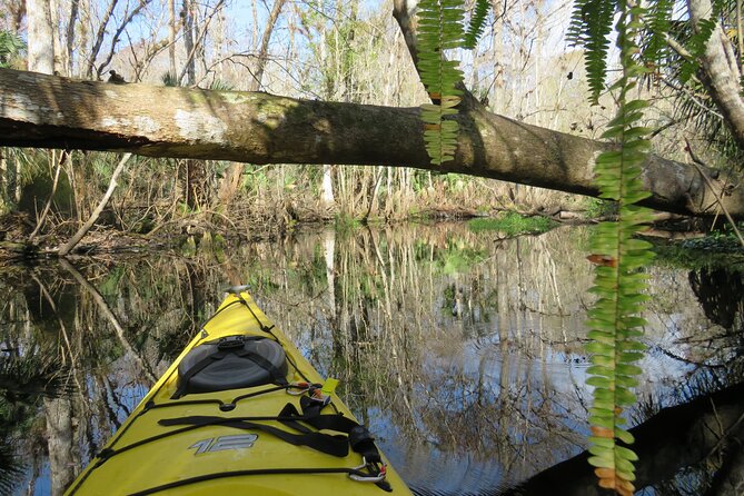 Exclusive Nature Escape Kayak Adventure on Blackwater Creek - Key highlights to know before you go
