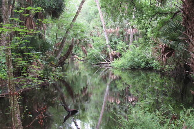 Exclusive Nature Escape Kayak Adventure on Blackwater Creek - Gear and comfort: what’s included, what’s on you to bring