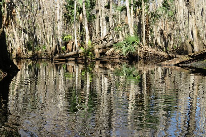 Exclusive Nature Escape Kayak Adventure on Blackwater Creek - Price and value: is $90 a good deal here?