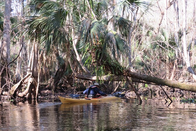 Exclusive Nature Escape Kayak Adventure on Blackwater Creek - Who this Blackwater Creek paddle is for (and who should skip it)