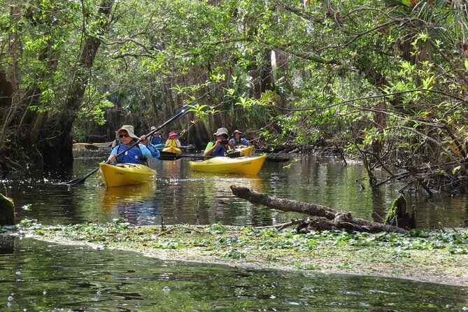 Exclusive Nature Escape Kayak Adventure on Blackwater Creek - Getting to the water: meeting point and what the start means