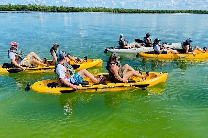 Exclusive Relax & Explore Pedal Kayak Tour Marco Island & Naples - Ten Thousand Islands refuge: mangrove tunnels and wildlife spotting time
