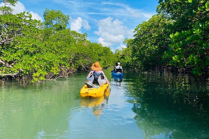Exclusive Relax & Explore Pedal Kayak Tour Marco Island & Naples - Wildlife encounters: what you should realistically plan to see