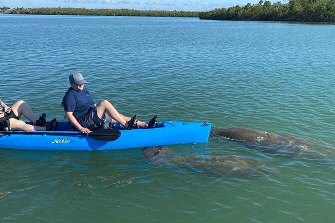 Exclusive Relax & Explore Pedal Kayak Tour Marco Island & Naples - Where the tour starts at 10:00 AM, and how to show up ready