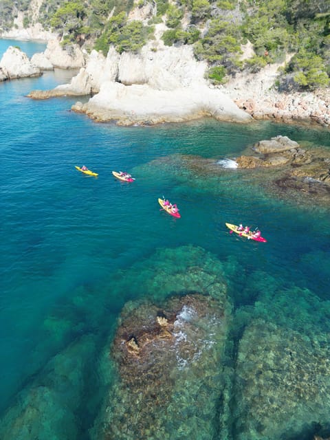 EXCURSION GUIADA EN KAYAK - INICIACIÓN 1h 15m - Safety talk first: what you learn before paddling