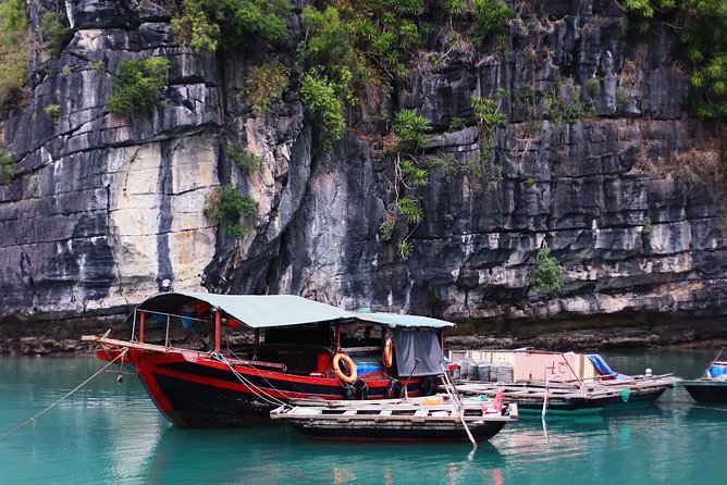 Excursion to Ha Long Bay with Titop Island and kayaking in Luon Cave - Ti Top Island: swim, then choose the view climb