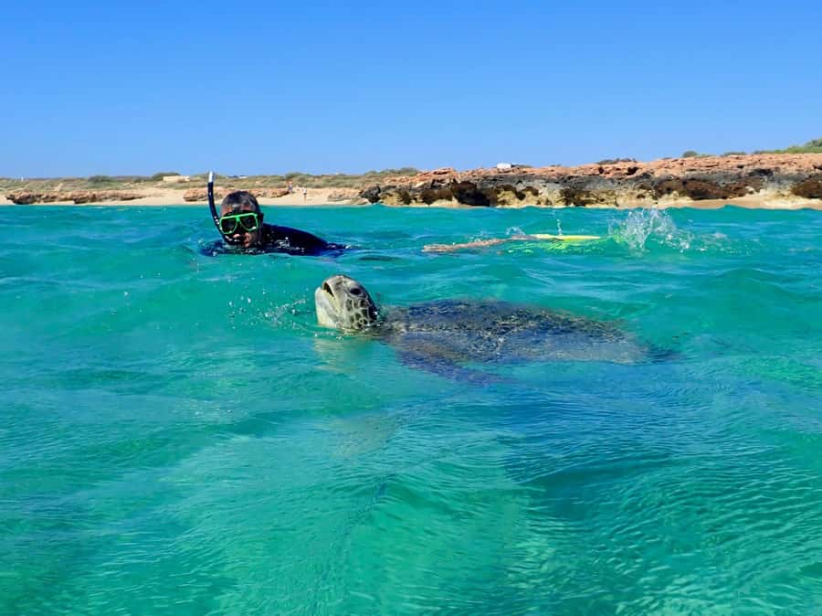 Exmouth: Half Day Turtle Kayak & Snorkel Tour - On the water: spotting turtles and rays from double sit-on-top kayaks