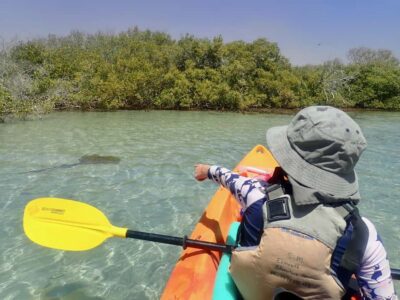 Exmouth: Half Day Turtle Kayak & Snorkel Tour - Your half-day flow: pickup, gear, and a high-tide schedule