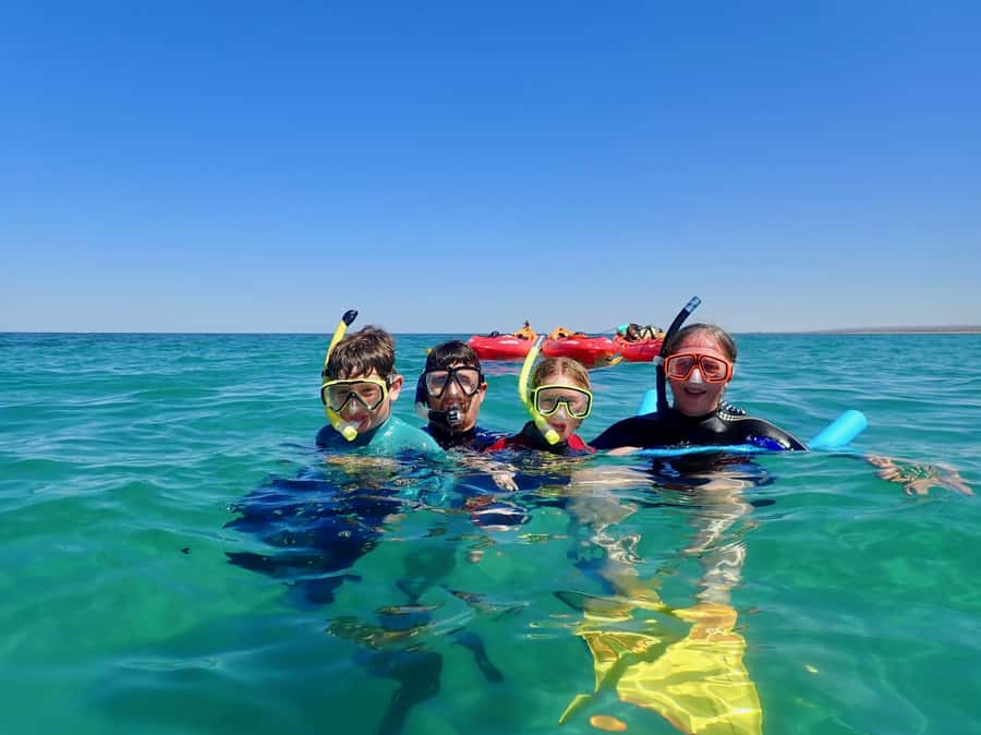 Exmouth: Half Day Turtle Kayak & Snorkel Tour - Snorkeling from kayak-only moorings on Ningaloo Reef